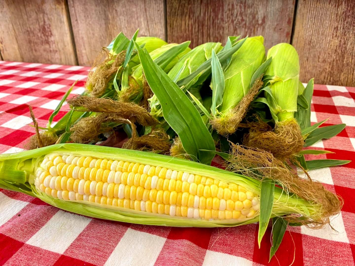 Sweet Corn 